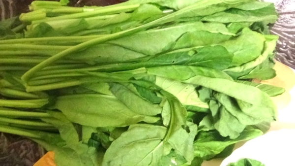 Do you Know the Excellent Benefits of Radish Leaves and Radish Leaf Juice is the Best tips for Weight Loss
