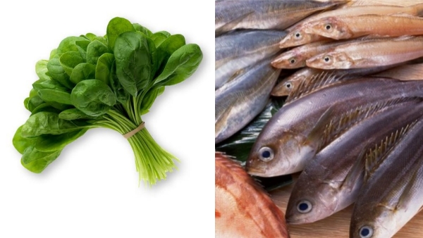 Do you know the Excellent Health Benefits of Raddish Fish and Can we Eat Fish with Egg, Curd, Milk 