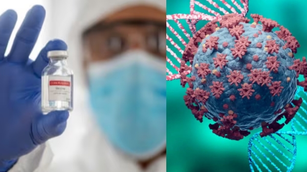  Is your vaccine effective against the new variant Coronavirus JN 1