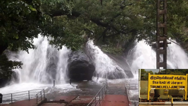 Due to 19 CM rainfall in Tirunelveli people banned to take bath in falls 