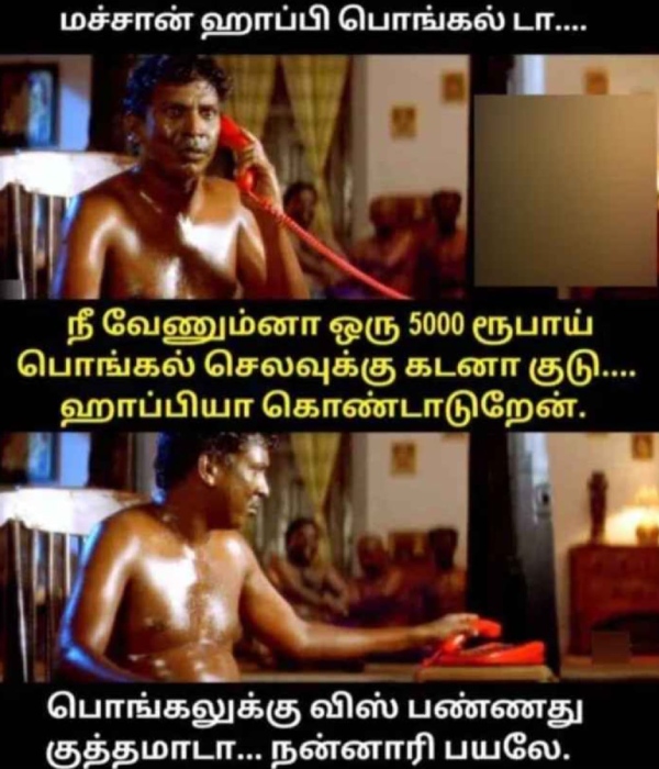Pongal memes: Funny memes collection on Pongal 15-01-2024