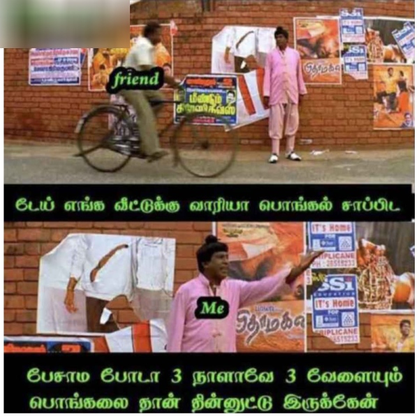 Pongal memes: Funny memes collection on Pongal celebrations 17-01-24