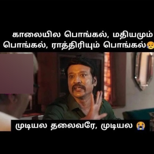 Pongal memes: Funny memes collection on Pongal 15-01-2024