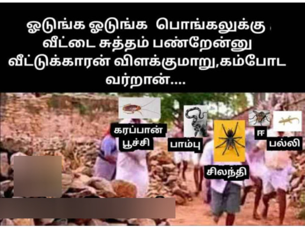 Pongal memes: Funny memes collection on Pongal 13-01-2024