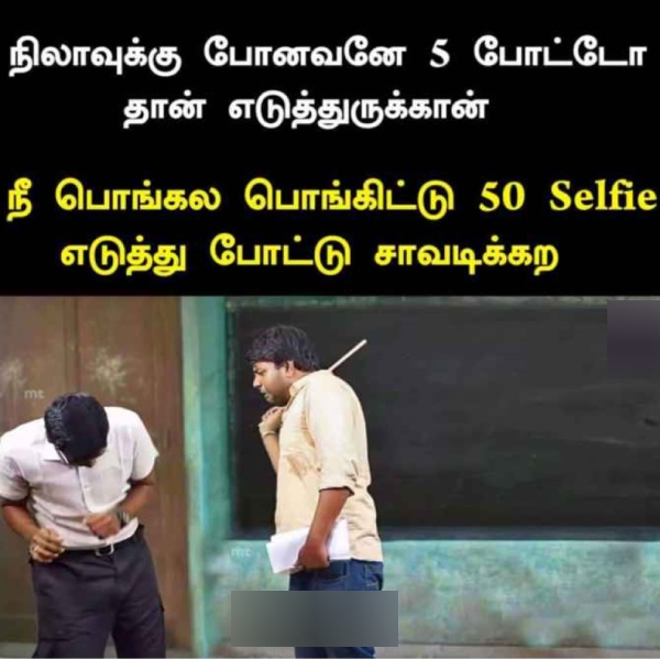 Pongal memes: Funny memes collection on Pongal celebrations 17-01-24