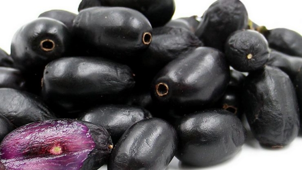 Do you know the Excellent Health Benefits of Jamun Fruits and Naaval Fruit is the Best for Women