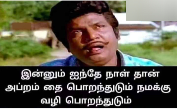 Pongal memes: Funny memes collection on Pongal 11-01-2024