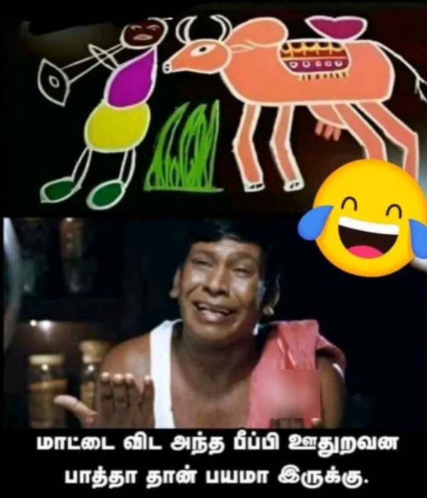  Pongal memes: Funny memes collection on mattu Pongal celebration16-01-2024