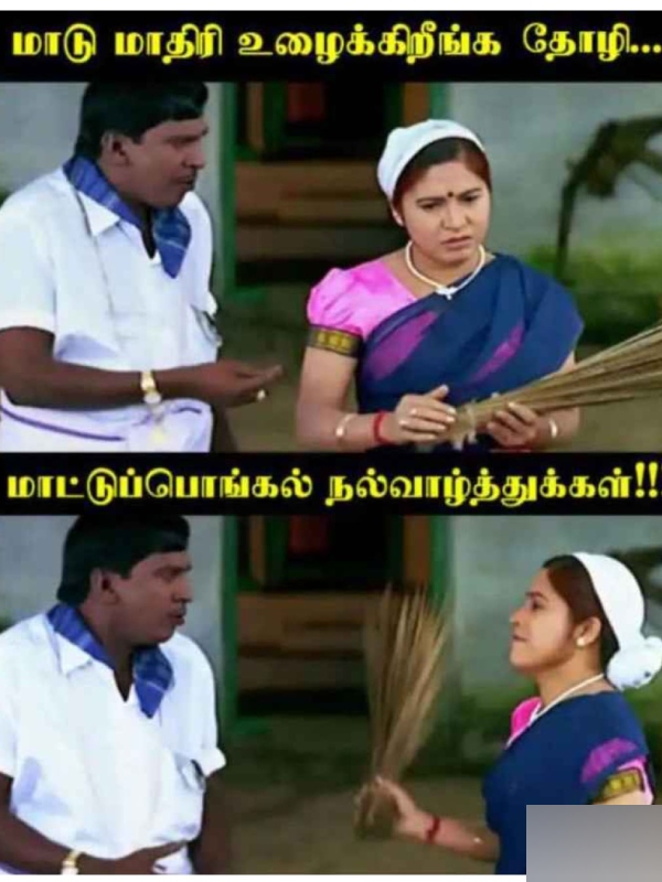 Pongal memes: Funny memes collection on mattu Pongal wishes 16-1-2024