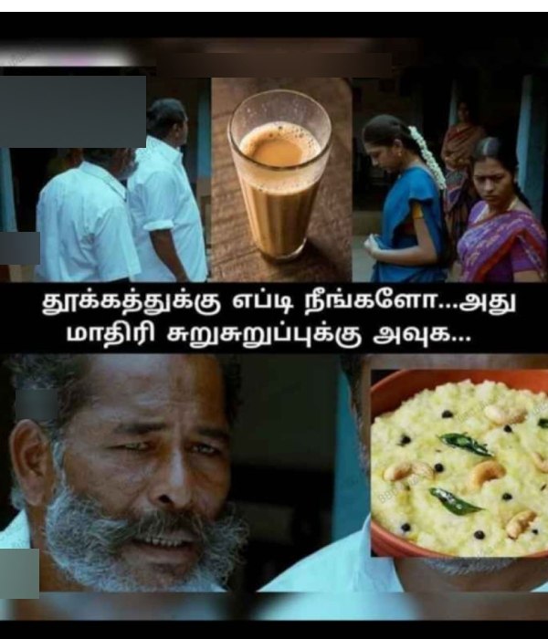 Pongal memes: Funny memes collection on mattu Pongal wishes 16-1-2024