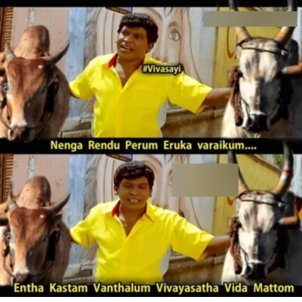 Pongal memes: Funny memes collection on Pongal 11-01-2024