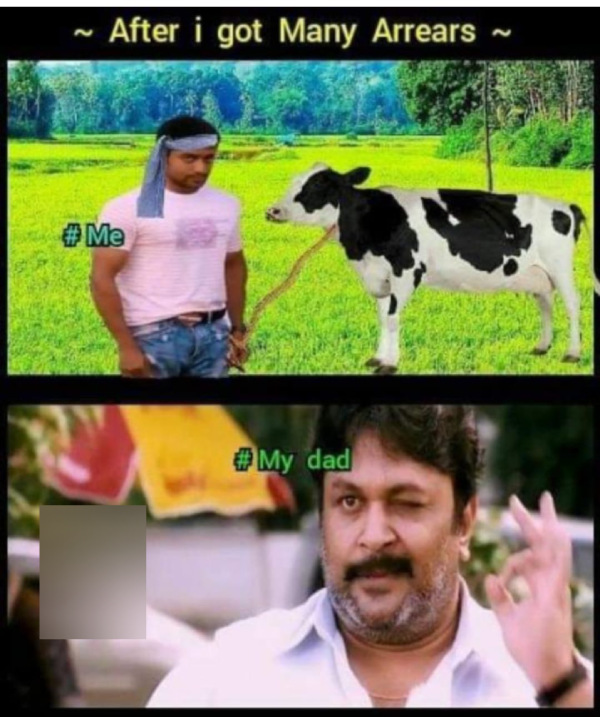 Pongal memes: Funny memes collection on Pongal 11-01-2024