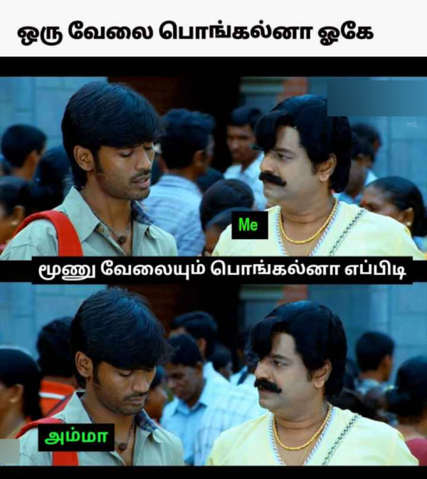 Pongal memes: Funny memes collection on Pongal 13-01-2024