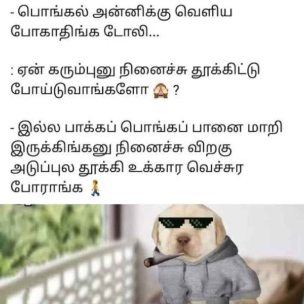 Pongal memes: Funny memes collection on Pongal 15-01-2024