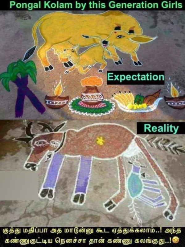  Pongal memes: Funny memes collection on mattu Pongal celebration16-01-2024