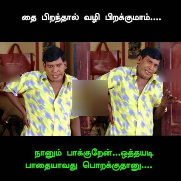Pongal memes: Funny memes collection on Pongal celebrations 17-01-24