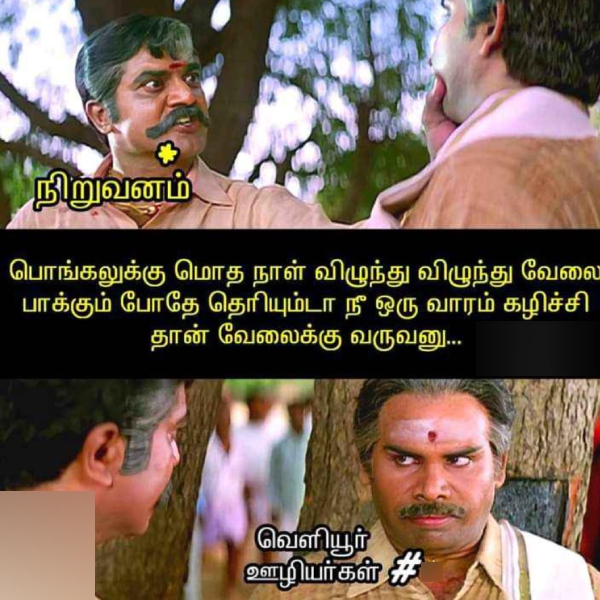 Pongal memes: Funny memes collection on Pongal holidays 17-01-2024