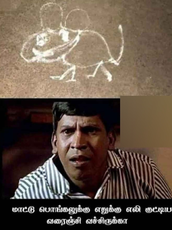  Pongal memes: Funny memes collection on mattu Pongal celebration16-01-2024