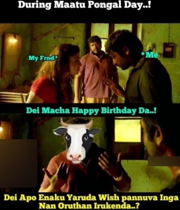 Pongal memes: Funny memes collection on mattu Pongal wishes 16-1-2024