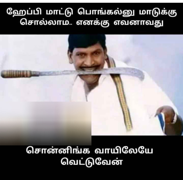 Pongal memes: Funny memes collection on Pongal 13-01-2024