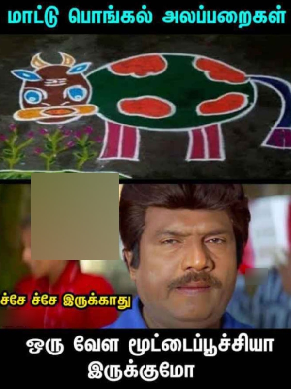  Pongal memes: Funny memes collection on mattu Pongal celebration16-01-2024