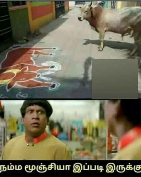Pongal memes: Funny memes collection on Pongal kolam 17-01-2024