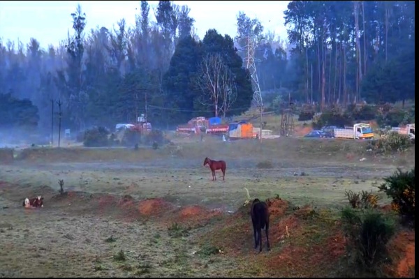 While dry weather is prevailing in Tamil Nadu, Ooty recorded 0.3 degree Celsius cold 