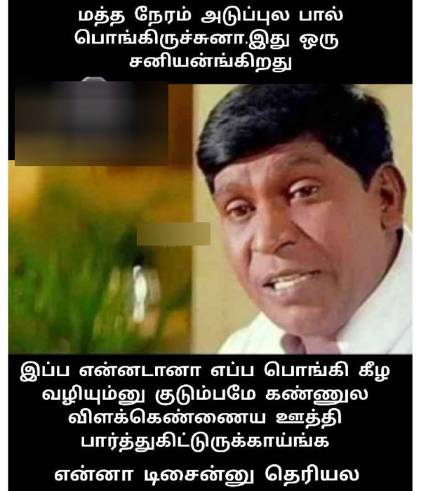 Pongal memes: Funny memes collection on Pongal celebrations 17-01-24