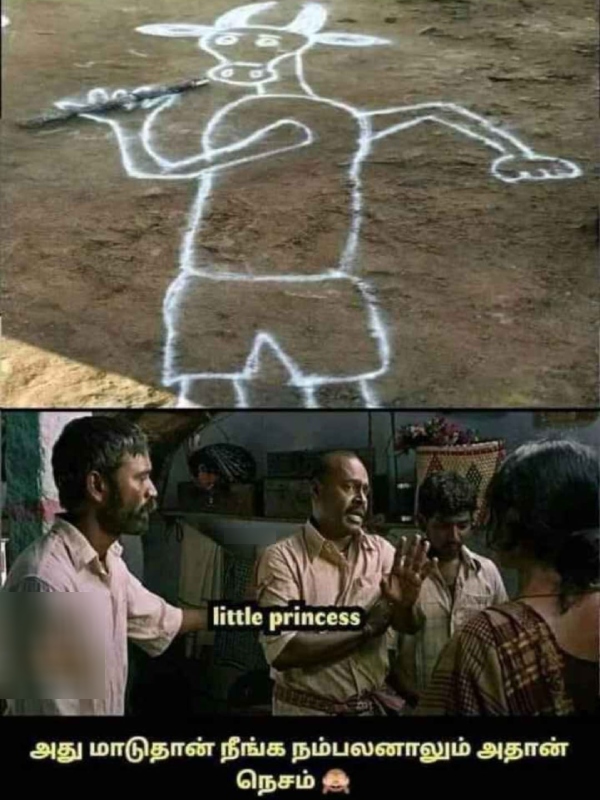  Pongal memes: Funny memes collection on mattu Pongal celebration16-01-2024