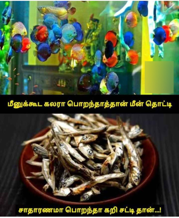 Sunday memes: Funny memes collection on sunday special food 28-01-2023