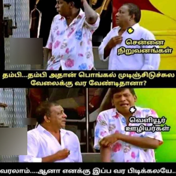 Pongal memes: Funny memes collection on Pongal holidays 17-01-2024