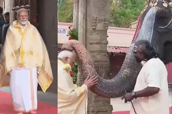 Aandal the elephant who blessed Modi in Srirangam Amazing playing the mouth organ 