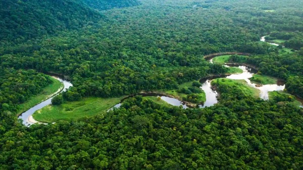  Amazon Rain forest a 3000 Year Hidden Old City In Discovered