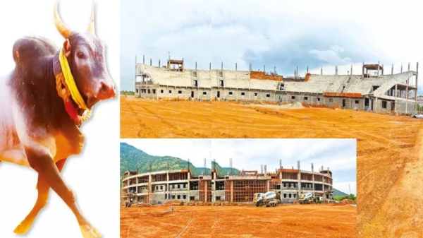 Madurai Alankanallur Jallikattu ground ready and Do you know what are the Specialities in alanganallur jallikattu stadium 