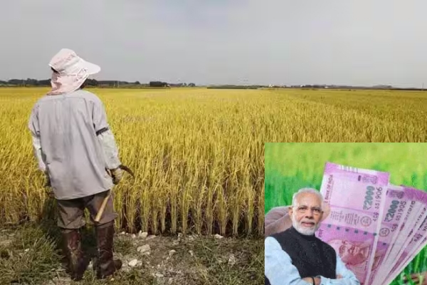 PM Kisan Yojana: Farmers Rs 4,000 instead of Rs 2,000 total of Rs 12,000 every year 