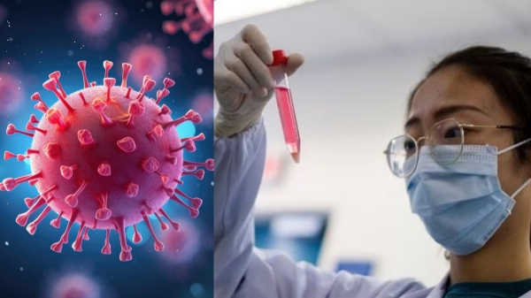  Chinese Scientists are now studying GX P2V Mutant COVID-19 Variant that will have 100% Mortality
