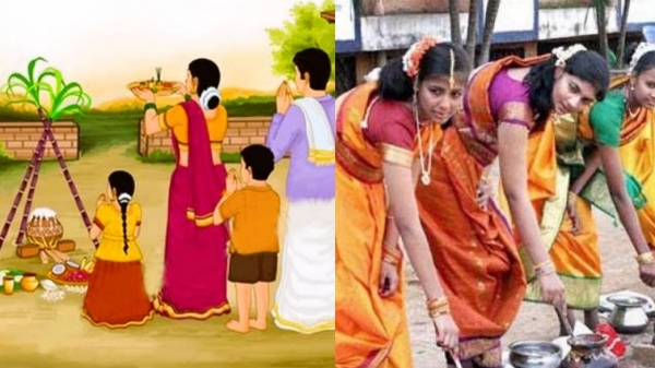 Pongal festival is celebrated enthusiastic in Tamil Nadu 