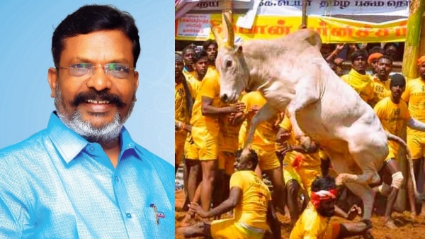 In Madurai Avaniyapuram Jallikattu, VCK leader Thirumavalavan Bull has won 