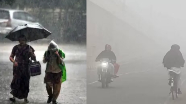 Weather: Heavy cold to hit in few parts of Tamil Nadu today, No rain Weather: Heavy cold to hit in few parts of Tamil Nadu today, No rain
