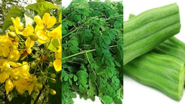 Do you know the Excellent Health Benefits of Vilva Leaves and Can Diabetics take Drumsticks Juice