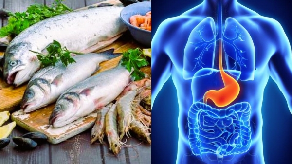 How long does it take for food to be digested? 