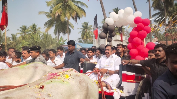 Thai Pongal festival: Edappadi Palanisamy celebrated Pongal in Salem Thai Pongal festival: Edappadi Palanisamy celebrated Pongal in Salem