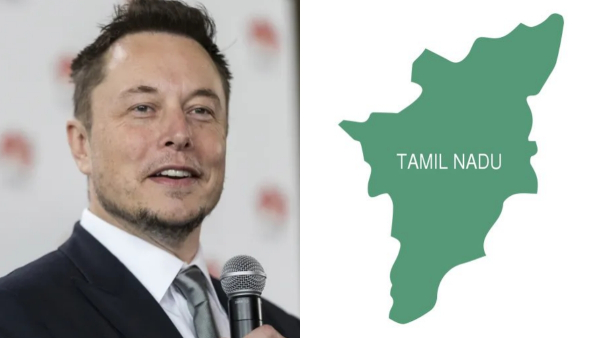  What are the four states that Elon Musk in looking for his Tesla investments