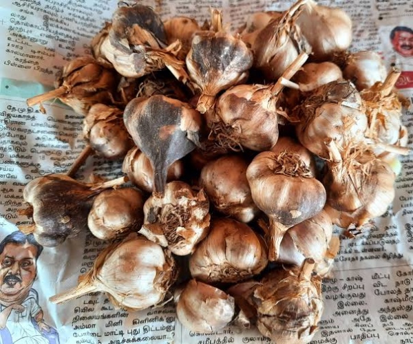 What is the difference between China Garlic and Country Garlic? 