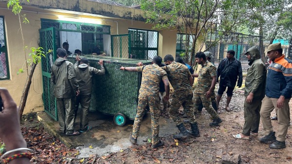 Forest department plan to keep the Nilgiri man-killer leopard in Vandalur