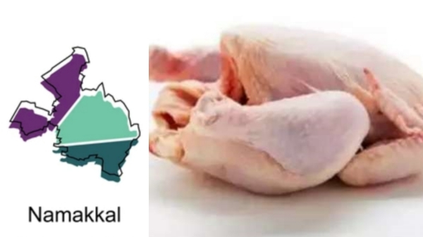 Namakkal price of Chicken has raised 25 per kg and Erode, Palladam Farm owners are very happy Namakkal price of Chicken has raised 25 per kg and Erode, Palladam Farm owners are very happy