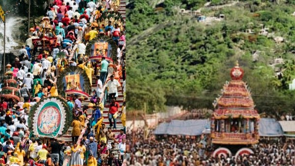 Thaipusam festival worlwide murugan temple: Therottam today in Palani temple Thaipusam festival worlwide murugan temple: Therottam today in Palani temple
