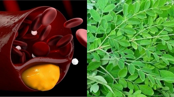 Do you know the Health Benefits of Hibiscus Leaves and 4 Super Best tips to stop Hair fall