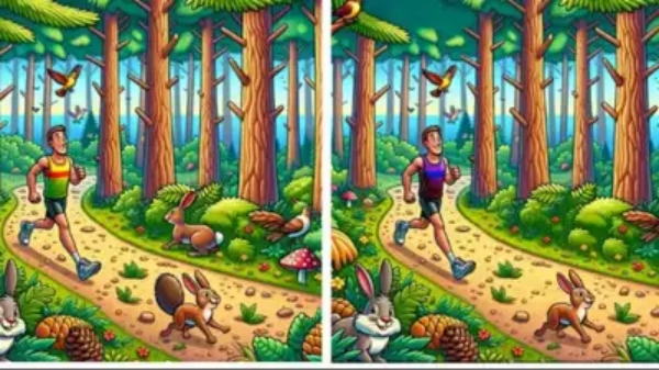 5 differences between the 2 optical illusion pictures, if you find it, You are smart 