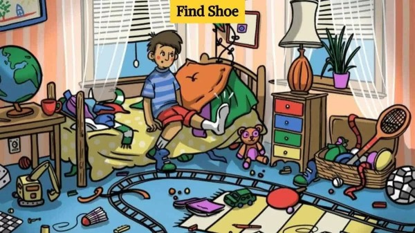 Optical Illusion: Can you Find out the Hidden Shoe in room with in 7 seconds 